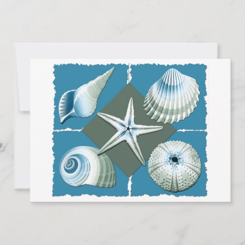 Blue &amp; Green Sea Shells Custom Announcements