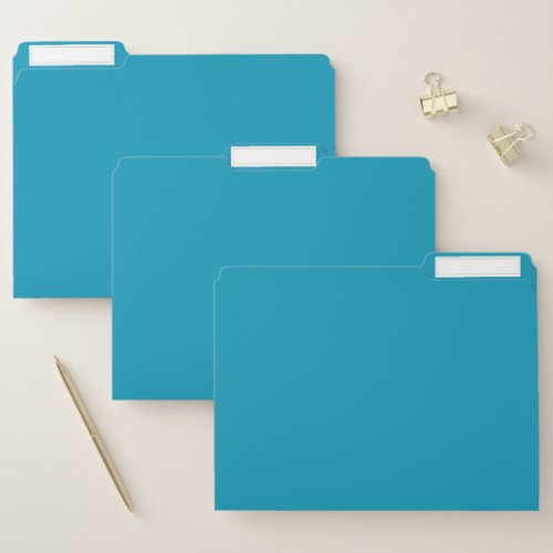Blue_green solid color  file folder