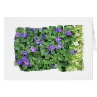 Blue Green Sprinkle Cards
