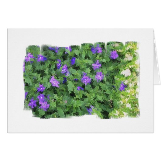 Blue Green Sprinkle Cards (Front Horizontal)