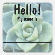 Blue Green Succulent Name tag Stickers