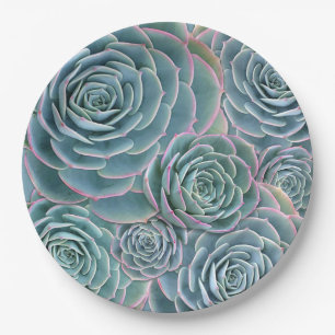 Blue Green Succulents Big Flowers Paper Plates