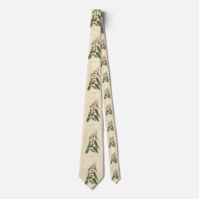 Blue-green Warbler from Audubon's Birds of America Neck Tie (Front)