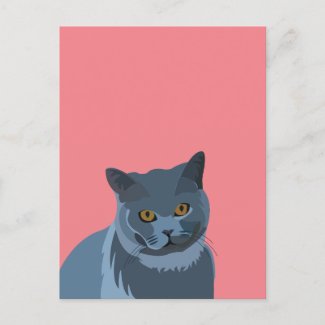 Blue Grey Cat Lover