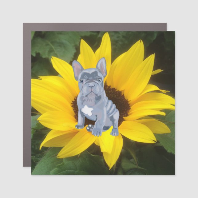 Blue Grey French Bulldog Puppy and Sunflower   Car Magnet (Front)