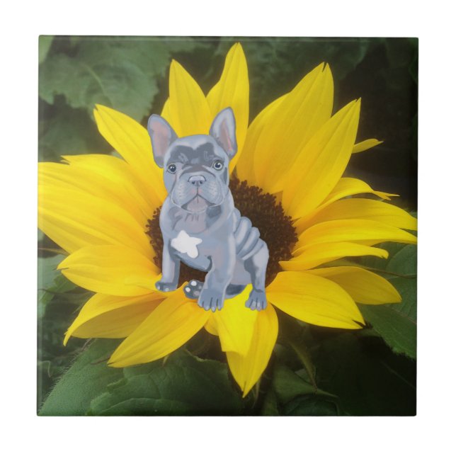 Blue Grey French Bulldog Puppy and Sunflower   Ceramic Tile (Front)