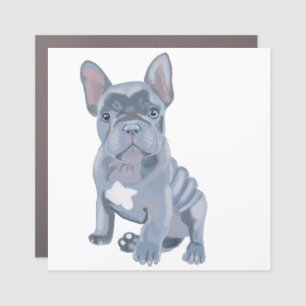 Blue Grey French Bulldog Puppy Car Magnet