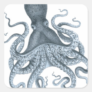 Blue Grey Vintage Octopus Illustration Square Sticker