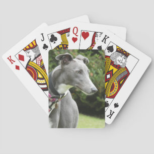 Blue greyhound playing cards