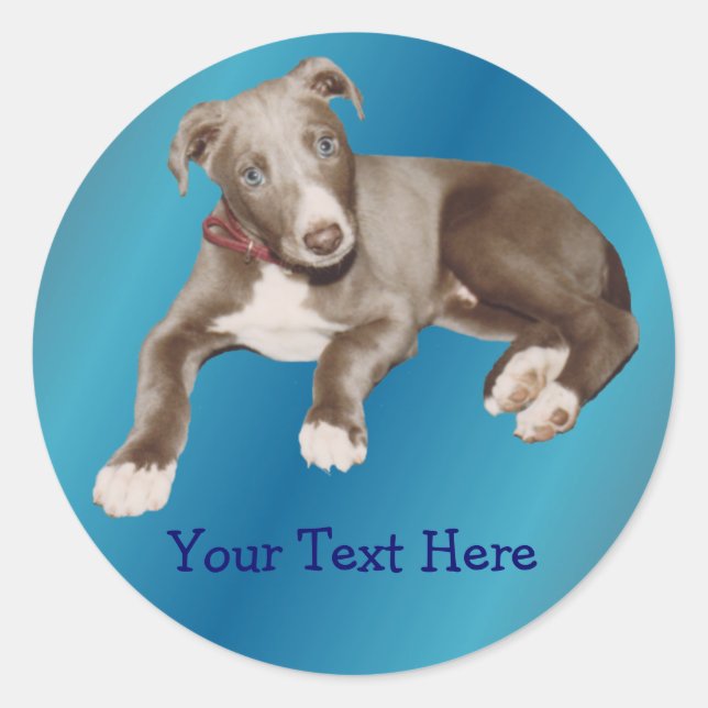 Blue Greyhound Puppy Animal Sticker (Front)