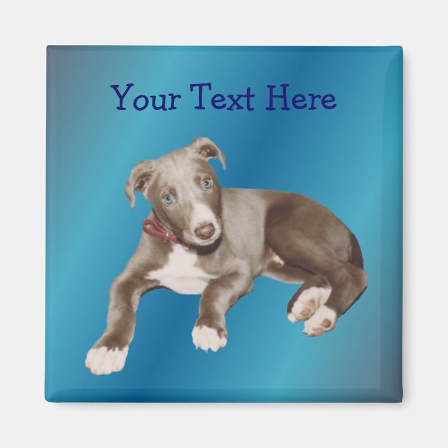 Blue Greyhound Puppy Personalized Magnet (Front)