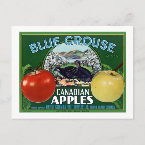 Blue Grouse Canadian Apples Postcard