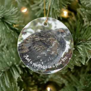 Blue Grouse in Snow Holiday Ceramic Ornament