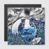 blue- guinea pig (Front/Back)