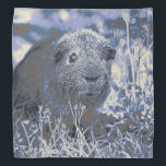 blue guinea pig bandana<br><div class="desc">Adorable Guinea pig</div>