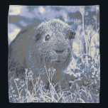 blue guinea pig bandana<br><div class="desc">Guinea Pig, adorable, awesome, blue, amazing, cute, pet, animal, Unique, altered</div>