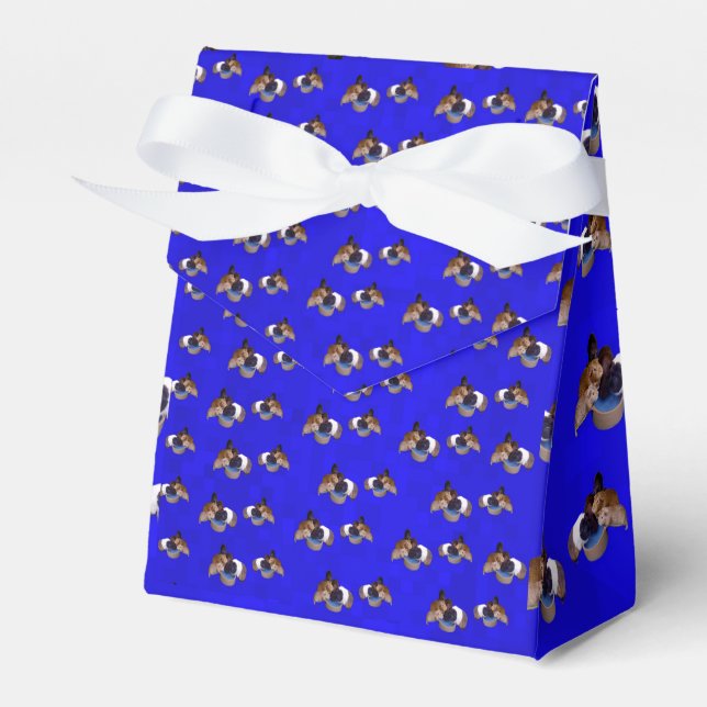 Blue Guinea Pig Pattern, Favor Boxes (Front Side)