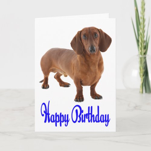 Blue Happy Birthday Dachshund Puppy Dog Card