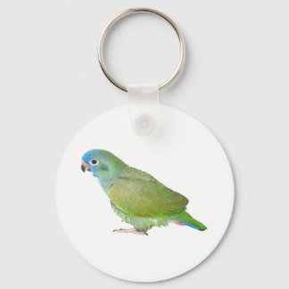 Blue Head Pionus Parrot Keychain