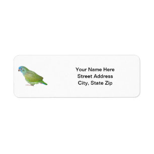 Blue Head Pionus Parrot Label
