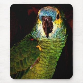 Blue Headed Parrot Office Products Supplies Zazzle Blue Headed Parrot Mouse Pad