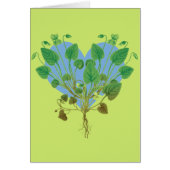 Blue Heart Green Leaves (Front)