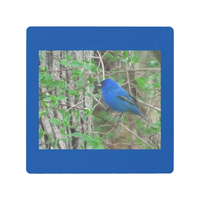 Blue Heaven Metal Print (Front)