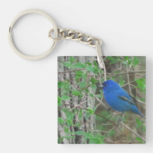 Blue Heaven Metal Print
