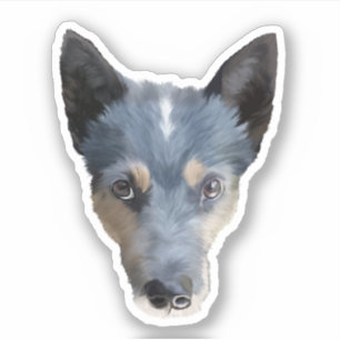 Blue Heeler / Australian Cattle Dog Sticker
