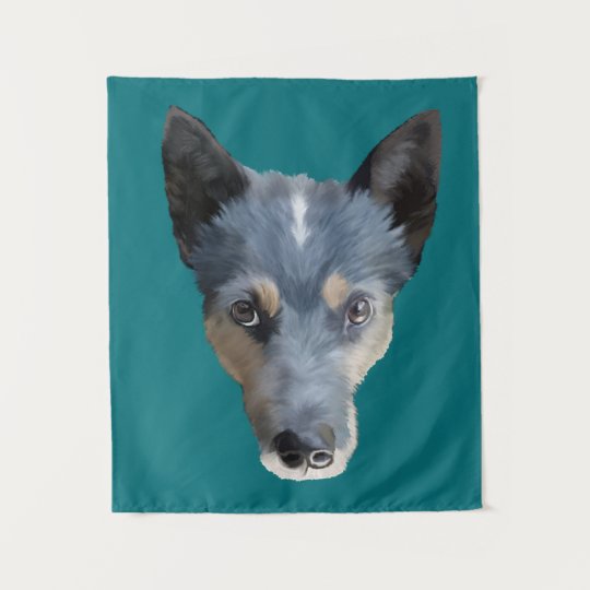 blue heeler 39