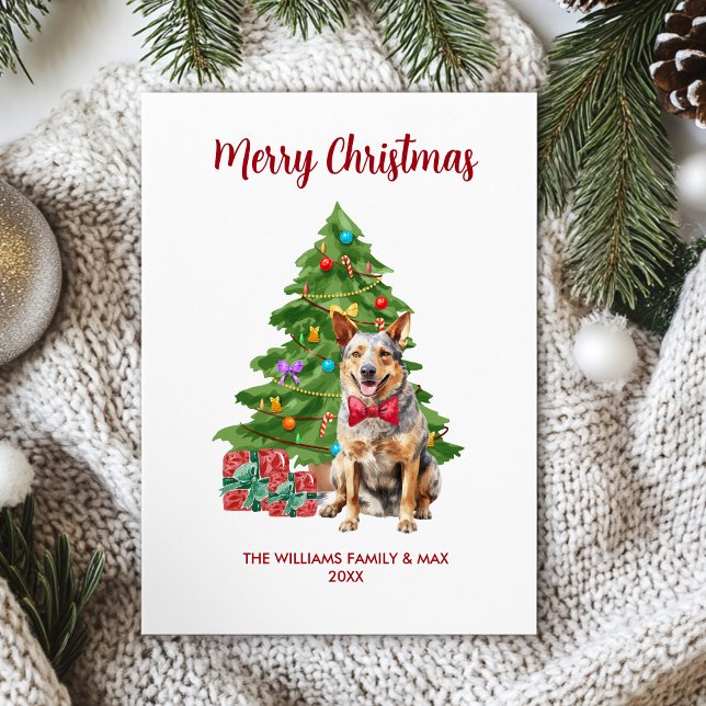 Blue Heeler Dog Family Christmas Holiday Card (Creator Uploaded)