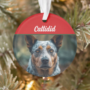 Blue Heeler Dog Holiday Photo Christmas Ornament