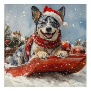 Blue Heeler Dog in Sledge Let it Snow Christmas Acrylic Print
