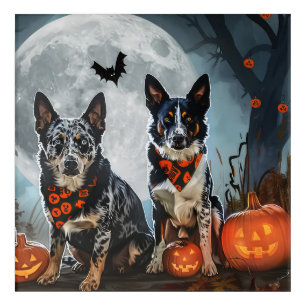 Blue Heeler Halloween Spooky Acrylic Print
