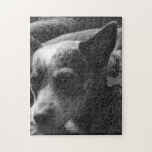Blue heeler jigsaw puzzle