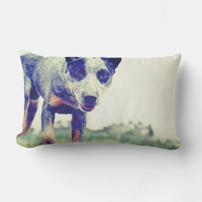 Blue Heeler Lumbar Pillow (Front)