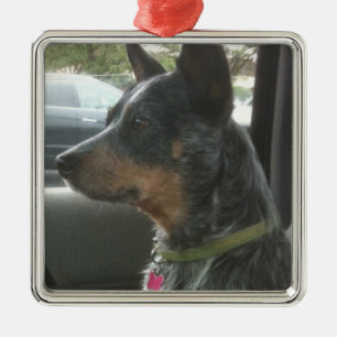 Blue heeler metal ornament