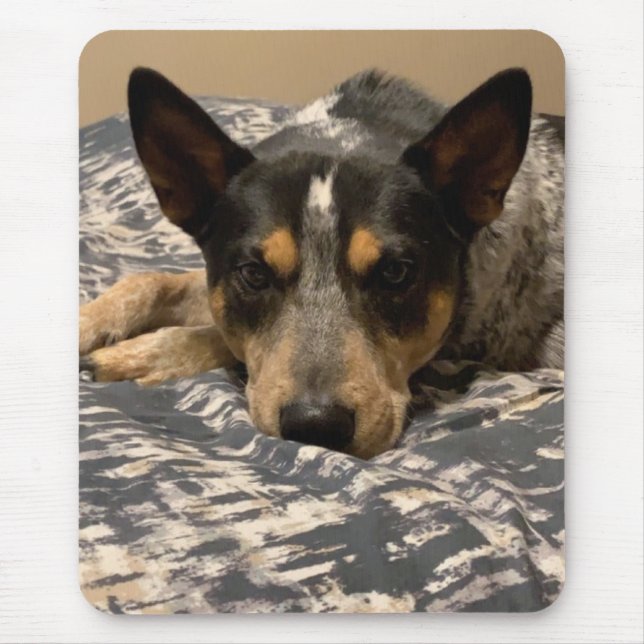 Blue Heeler Mouse Pad (Front)