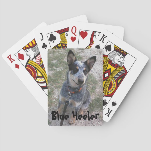 Blue Heeler playing card deck (Back)