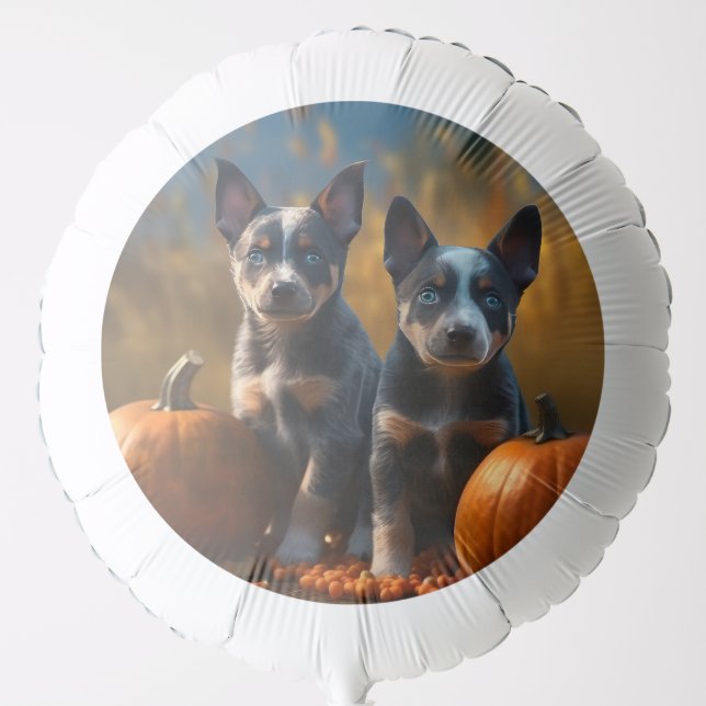 Blue Heeler Puppy Autumn Delight Pumpkin Balloon (Front)