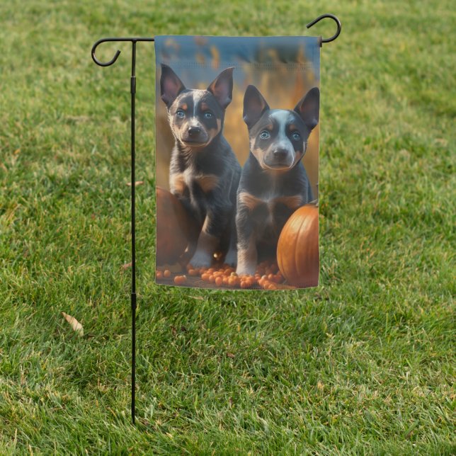 Blue Heeler Puppy Autumn Delight Pumpkin Garden Flag (In SItu)