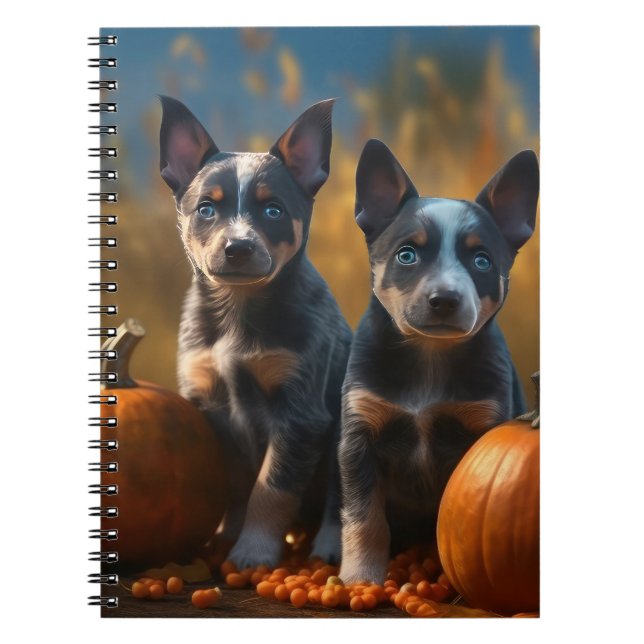 Blue Heeler Puppy Autumn Delight Pumpkin Notebook (Front)
