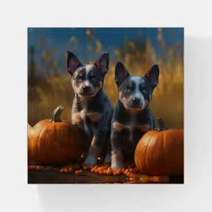 Blue Heeler Puppy Autumn Delight Pumpkin Paperweight