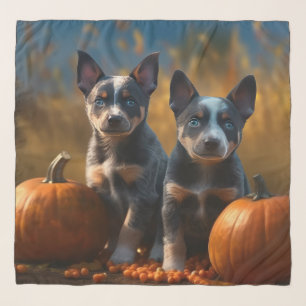 Blue Heeler Puppy Autumn Delight Pumpkin Scarf