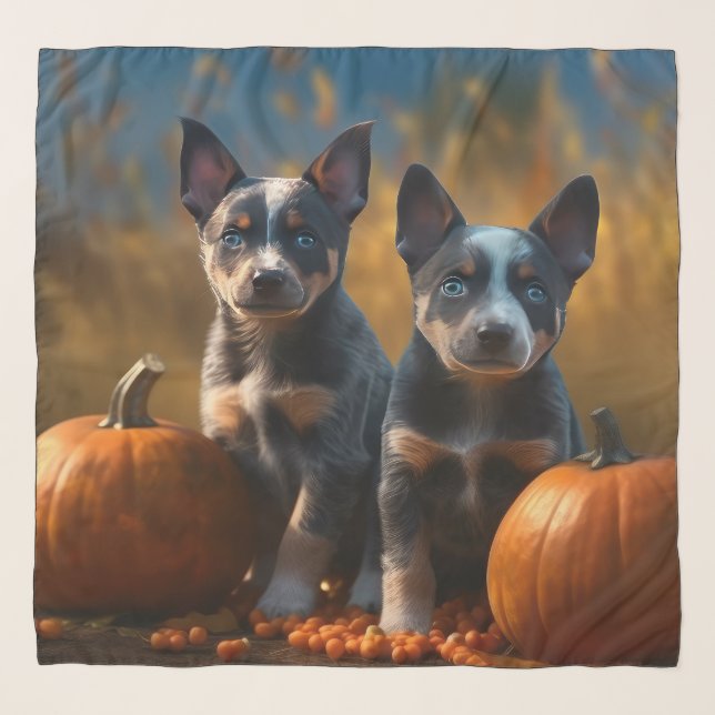 Blue Heeler Puppy Autumn Delight Pumpkin Scarf (Front)