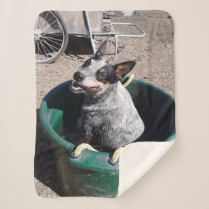 Blue Heeler Sherpa Blanket