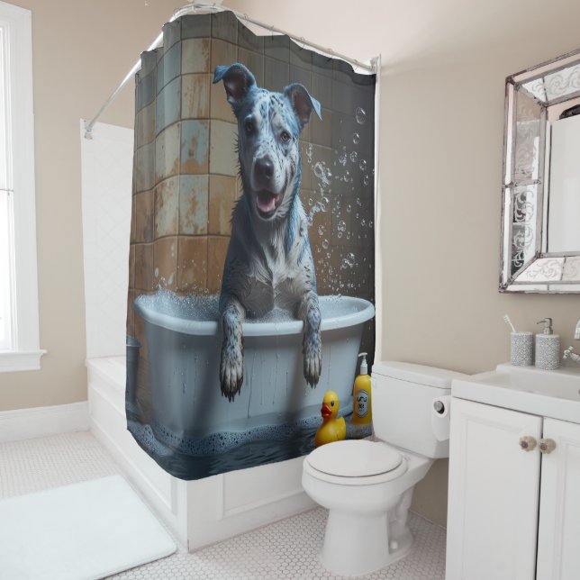 Blue Heeler Sloppy Sleepy Cute Funny  Shower Curtain (In Situ)