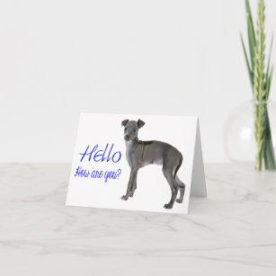 Blue Hello Gray Italian Greyhound Puppy Dog Card