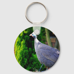 Blue Helmeted Guinea Fowl standing in the sun Keychain