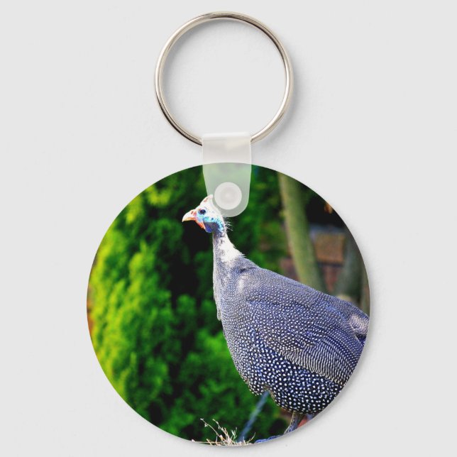 Blue Helmeted Guinea Fowl standing in the sun Keychain (Front)